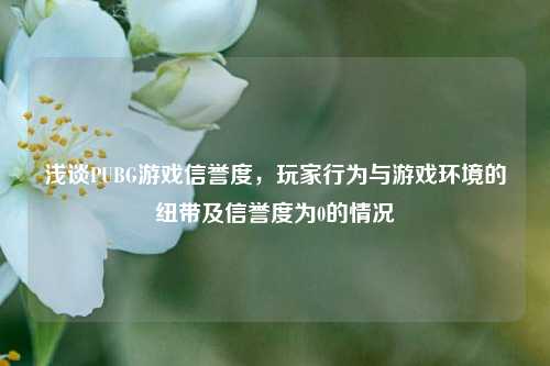 浅谈PUBG游戏信誉度，玩家行为与游戏环境的纽带及信誉度为0的情况