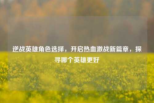 逆战英雄角色选择，开启热血激战新篇章，探寻哪个英雄更好