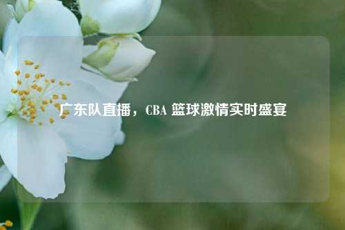 广东队直播，CBA 篮球激情实时盛宴