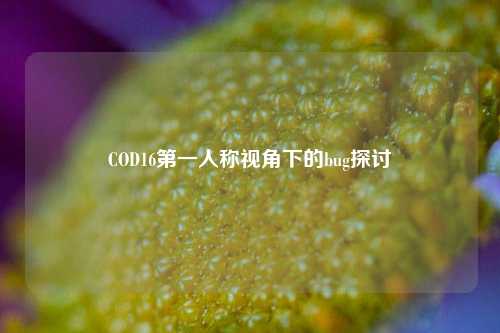 COD16第一人称视角下的bug探讨