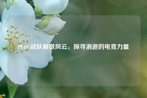 PUBG战队解散风云，探寻消逝的电竞力量