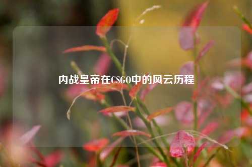 内战皇帝在CSGO中的风云历程