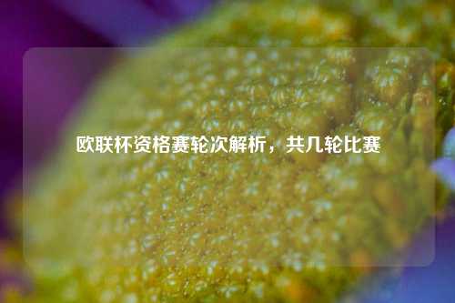 欧联杯资格赛轮次解析，共几轮比赛