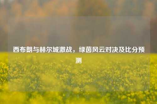 西布朗与赫尔城激战，绿茵风云对决及比分预测