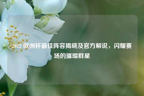 2012 欧洲杯最佳阵容揭晓及官方解说，闪耀赛场的璀璨群星