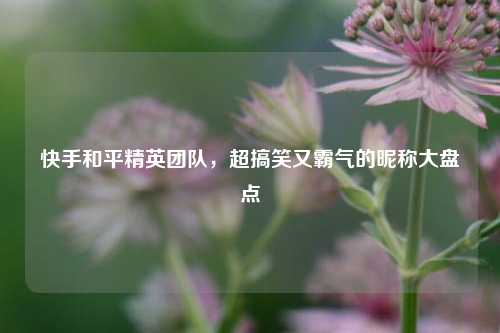 快手和平精英团队，超搞笑又霸气的昵称大盘点