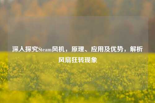 深入探究Steam风机，原理、应用及优势，解析风扇狂转现象