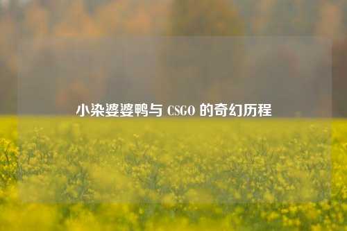 小染婆婆鸭与 CSGO 的奇幻历程