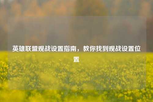 英雄联盟观战设置指南，教你找到观战设置位置