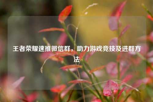 王者荣耀速推微信群，助力游戏竞技及进群方法