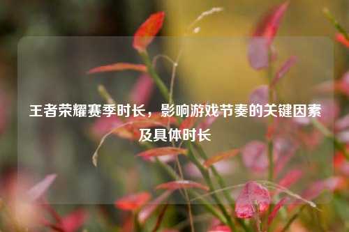 王者荣耀赛季时长，影响游戏节奏的关键因素及具体时长