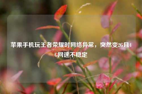 苹果手机玩王者荣耀时网络异常，突然变2G且4G网速不稳定