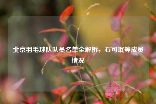 北京羽毛球队队员名单全解析,石可珉等成员情况