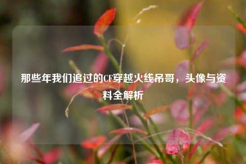 那些年我们追过的CF穿越火线吊哥，头像与资料全解析
