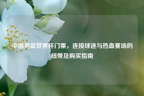 中国男篮世界杯门票，连接球迷与热血赛场的纽带及购买指南
