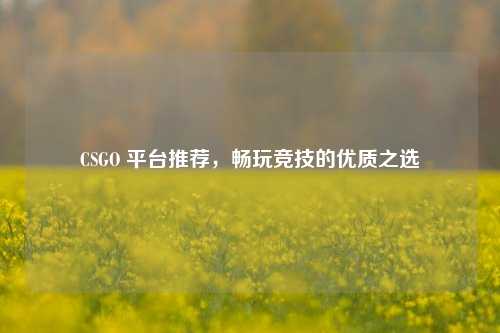 CSGO 平台推荐，畅玩竞技的优质之选